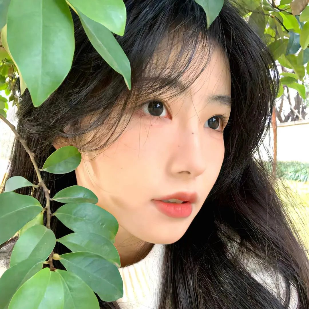 黑兰煞
