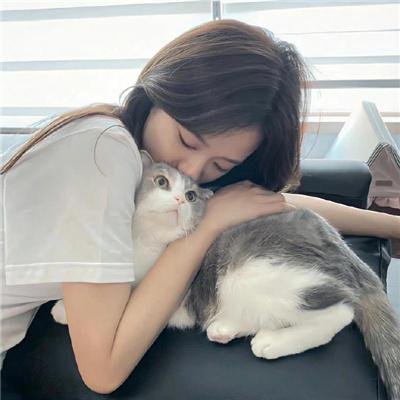犯罪总动员